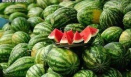 吃瓜网官网,带你领略网络娱乐资讯的盛宴